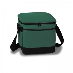 Insulated  Reusable Lunch Cooler Bag PEVA  Water-resistant Lining for Women Men Adult Work School
